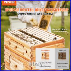 VEVOR Bee Hive Langstroth Kit 20 Deep & 20 Medium Frames with Acrylic Windows
