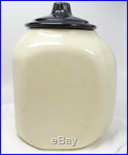 Vintage American Bisque Honey Bear & Beehive Flasher Cookie Jar