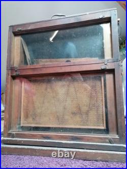 Vintage Observation Hive. Beehive. Beekeeping