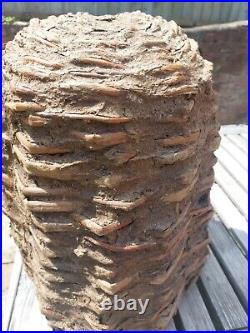 Vintage Rare French Bee Skep With Daub Garden Feature Cotswold 41cm Hive