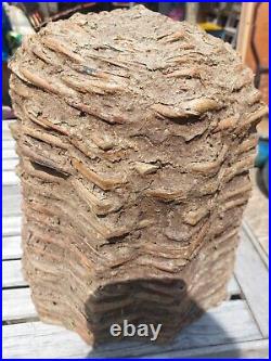 Vintage Rare French Bee Skep With Daub Garden Feature Cotswold 41cm Hive