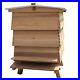 WBC_Bee_Hive_21267_01_fr