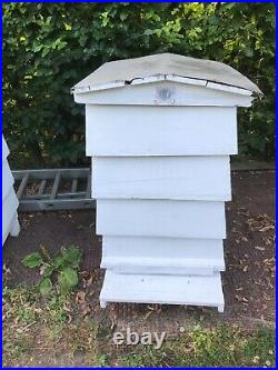 WBC bee hive