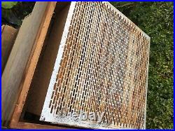 WBC cedar Beehive, stand/floor/ 4 lifts/ 1 super/ queen excluder/ roof, frames