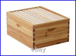 Walsport 10-Frame Langstroth Bee Hive