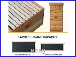 Walsport 10-Frame Langstroth Bee Hive