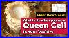 What_To_Do_When_You_See_Queen_Cells_In_A_Beehive_Free_Download_To_Help_You_Through_The_Process_01_qc
