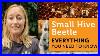 What_You_Need_To_Know_About_The_Small_Hive_Beetle_How_ID_Traps_Prevention_Slime_Outs_U0026_More_01_jauo