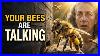 What_Your_Bees_Are_Telling_You_At_The_Hive_Entrance_6_Signals_Every_Beekeeper_Must_Know_01_yyy