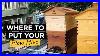 Where_To_Put_Your_Bee_Hive_Thebeekeeper_Org_01_mms