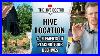 Where_To_Put_Your_Beehives_The_4_Elements_Of_Locating_Your_Apiary_Establish_The_Best_Spot_For_Bees_01_kdra