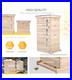 Wooden_4_Tier_Langstroth_Beehive_Box_Beehives_Hive_Equipment_01_hpg