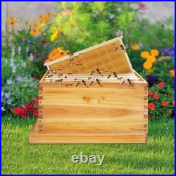 Wooden Bee Incubator 5-Frame Bee Hive Box Kit Queen Bees Farming Hive with5 Frames Wooden Bee Incubator 5-Frame Bee Hive Box Kit Queen Bees Farming Hive with5 Frames