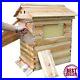 Wooden_Beehive_Beekeeping_Tool_Bee_House_Hive_Langstroth_Only_Beehive_House_01_abq
