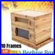 Wooden_Beekeeping_Beehive_House_Box_10_Frame_Honey_Bee_Comb_Hive_Frame_UK_01_mrm