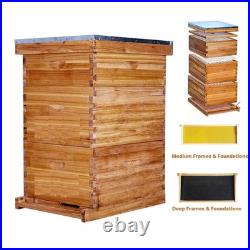 Wooden Beeswax Beehive Metal Top Cover with 30 Frames, 2 Deep Box and 1 Medium Box