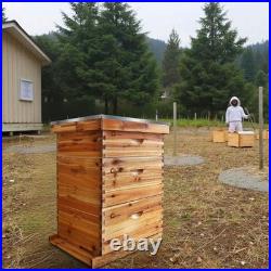 Wooden Beeswax Beehive Metal Top Cover with 30 Frames, 2 Deep Box and 1 Medium Box