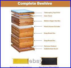 Wooden Beeswax Beehive Metal Top Cover with 30 Frames, 2 Deep Box and 1 Medium Box