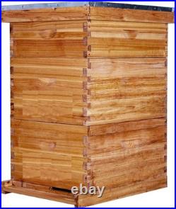 Wooden Beeswax Beehive Metal Top Cover with 30 Frames, 2 Deep Box and 1 Medium Box