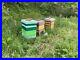 Working_Colony_Of_Bees_In_National_Bee_Hive_01_mxt